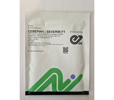 Огурцы Северин F1 (Enza Zaden) 500 семян