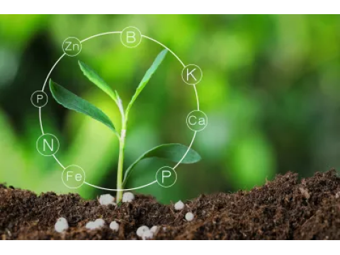 Правильное питание растений, как нужно питать и стимулировать растения?