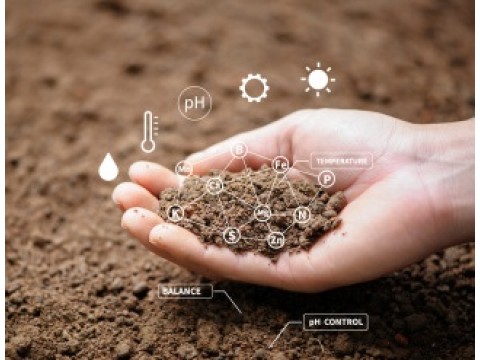 Как правильно выбрать и удобрить почву для хорошего роста растений?