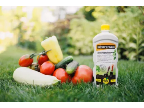 Как правильно и чем защищать растения для успешного выращивания?