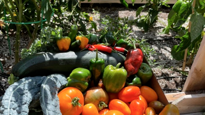 Готовимся к осени