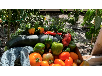 Готовимся к осени