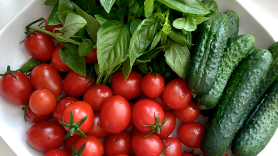 Как вырастить богатый урожай овощей: советы агронома и работающие решения