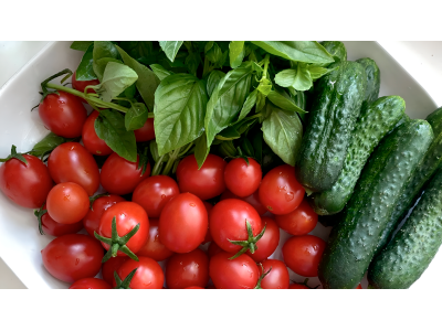 Как вырастить богатый урожай овощей: советы агронома и работающие решения