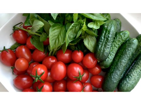 Как вырастить богатый урожай овощей: советы агронома и работающие решения от «ДК Агро-Гарант»