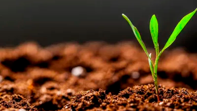 Делаем простой универсальный грунт в домашних условиях!