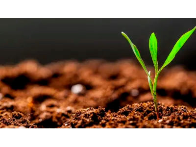 Делаем простой универсальный грунт в домашних условиях!