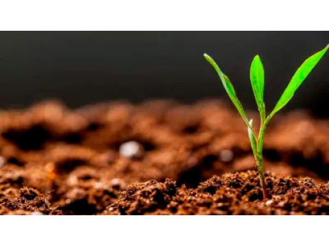 Делаем простой универсальный грунт в домашних условиях!