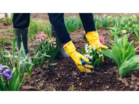 Весенние работы в апреле