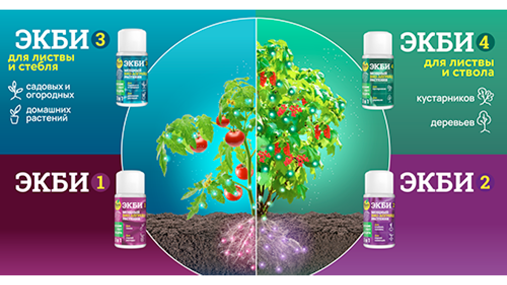 ЭКБИ - волшебные помощники каждого дачника