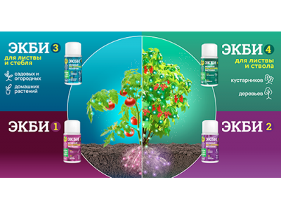 ЭКБИ - волшебные помощники каждого дачника