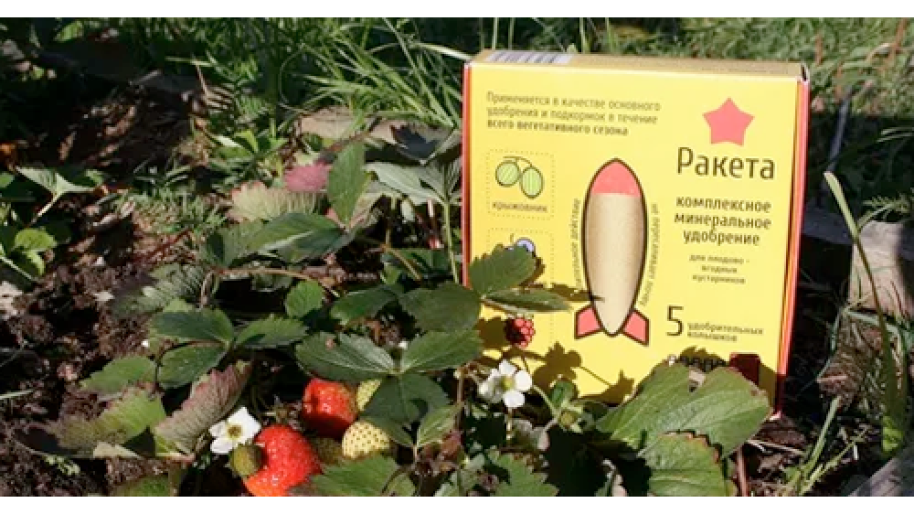 Ракета - линейка минеральных удобрений в колышках